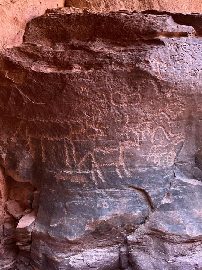 Wadi Rum Bedouin Heart Camp Εξωτερικό φωτογραφία