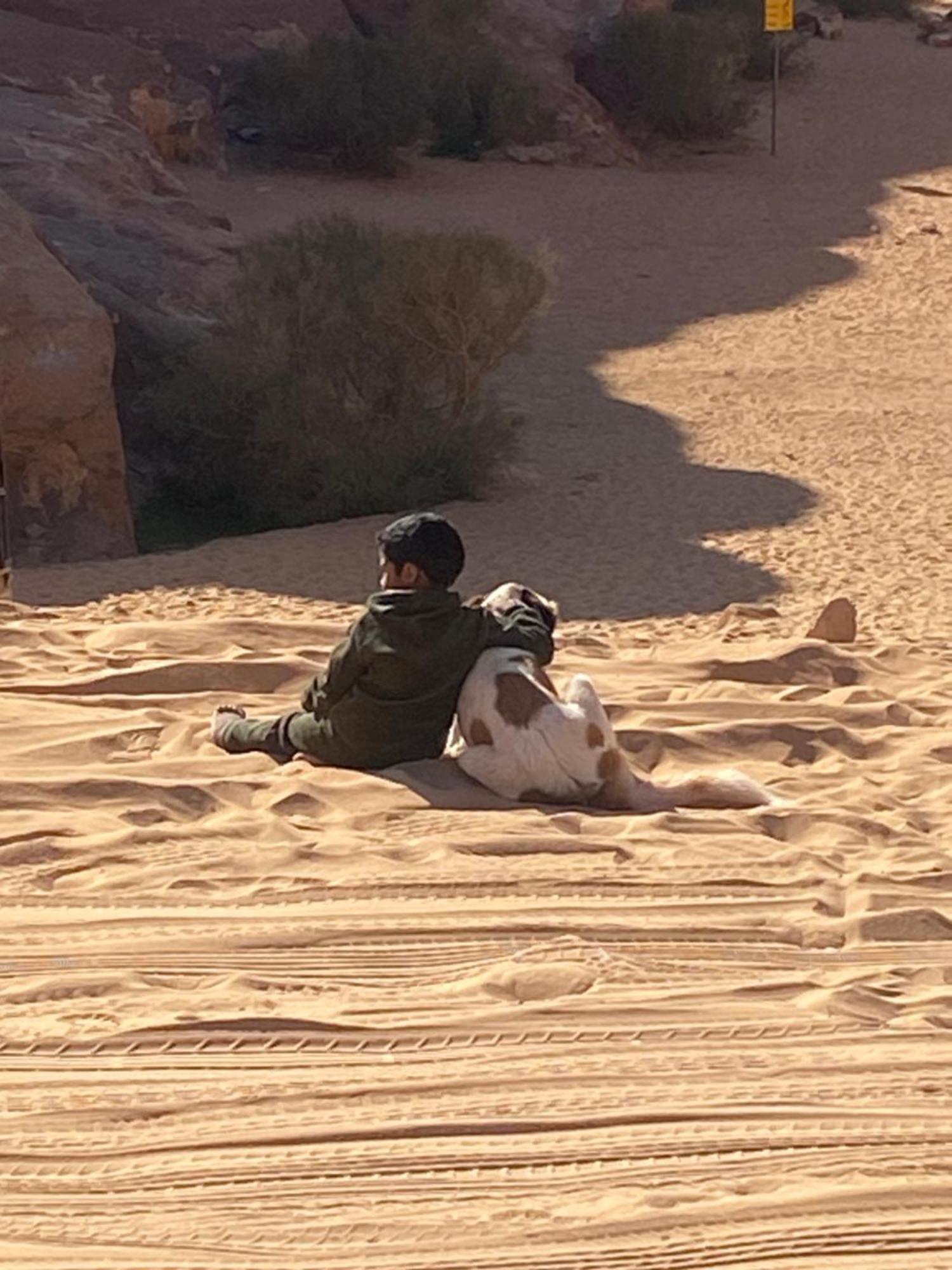 Wadi Rum Bedouin Heart Camp Εξωτερικό φωτογραφία