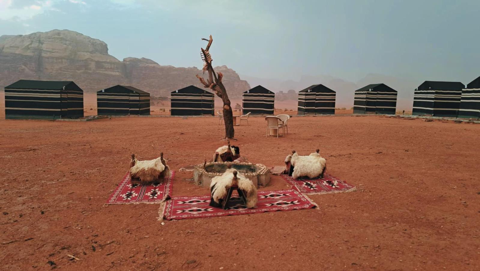 Wadi Rum Bedouin Heart Camp Εξωτερικό φωτογραφία